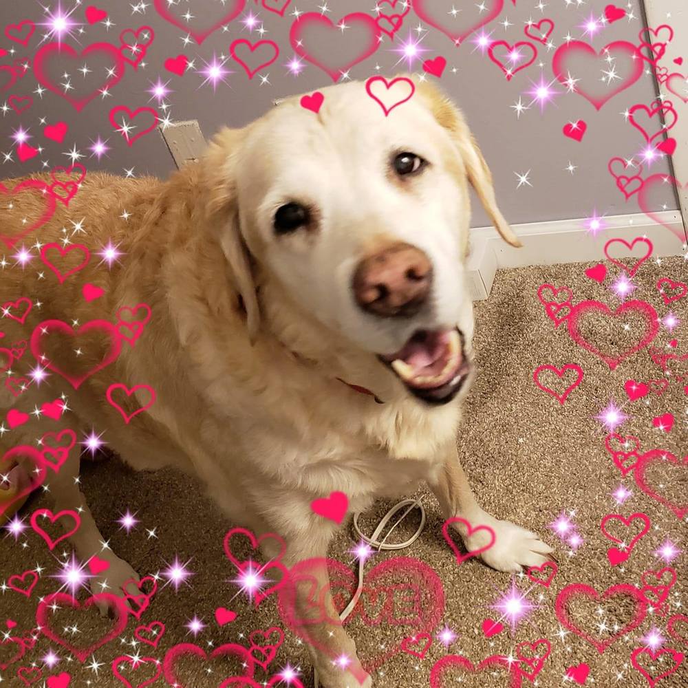 Meet your Posher, Twirp